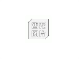 龚政